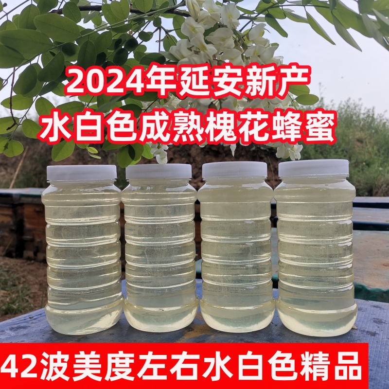 延安2024年水白色槐花蜂蜜农家自