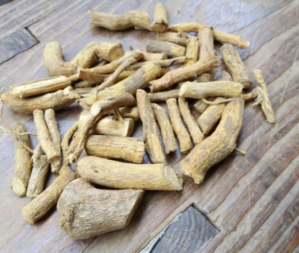 纯正野生中草药材搜山虎蛇总管岭南花椒根干品纯根货