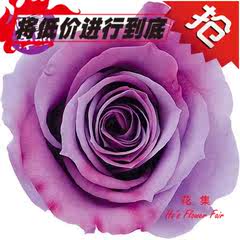 深紫色渐变永生玫瑰批粉色日本进口大地农园一盒9朵