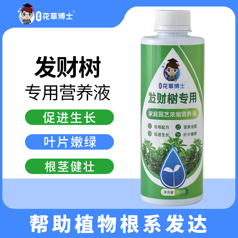 花草博士发财树专用营养液家用养花卉