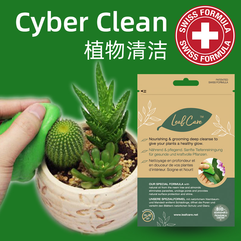Cyber Clean多肉仙人掌球清洁植物叶子害虫绿植灰尘清理软胶泥|msdalam kategori Care pembersih/tuala wanita/kertas/Aromatherapy, Keluarga lebih bersih persekitaran, tujuan Cleaner - dari Buy2taobao.com untuk memberikan perkhidmatan ejen Taobao profesional membeli