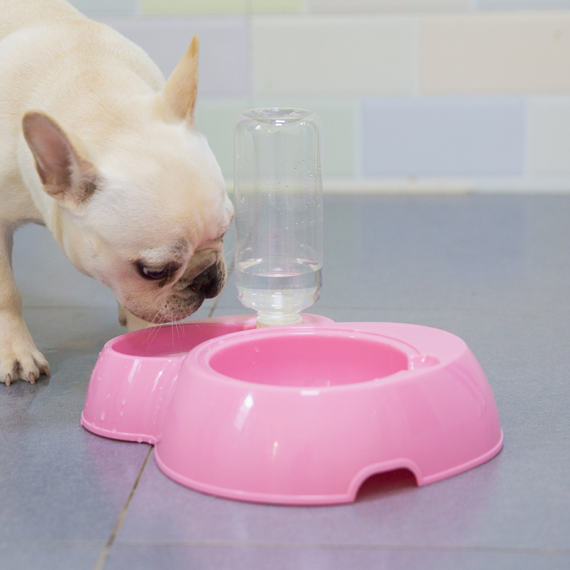 狗狗饮水自动喂食泰迪小狗饮水机水壶猫咪喝水饮水器