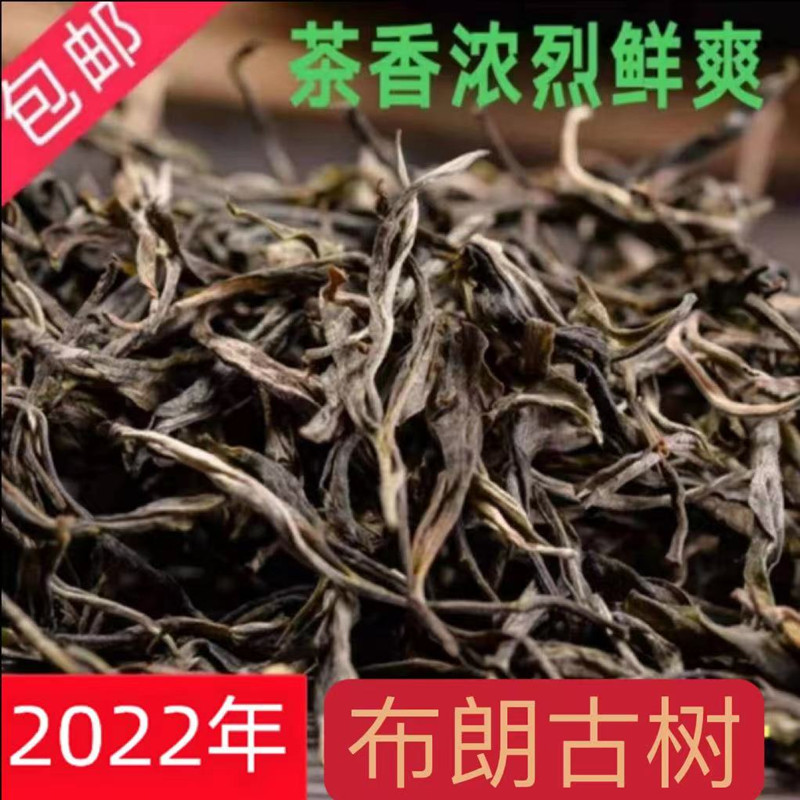 2023年普洱茶生茶早春茶云南布朗