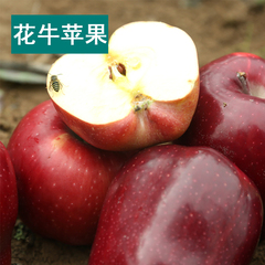 小马乐活现摘新鲜水果蛇果红元帅苹果天水花牛大苹果10斤团购包邮