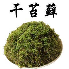 干水苔 干苔藓 青苔水草石斛兰花育苗种植苗木嫁接宠物龟冬眠垫材