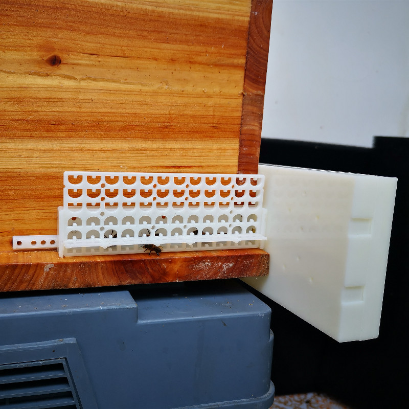 顶格2号组合巢门中蜂自动收王器分蜂器多功能防逃器蜂箱厂家直销在类目 畜牧/养殖物资, 蜂场养殖物资, 养蜂巢础中 - 来自Buy2taobao.com提供专业的淘宝代购服务