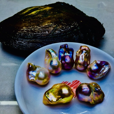 炫彩超巴蚌开异性长尾巴淡水鲜活珍珠蚌直播开蚌支持diy