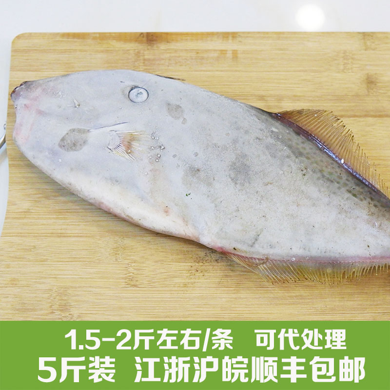 启东吕四海鲜大马面鱼橡皮鱼剥皮鱼耗儿鱼5斤装江浙沪
