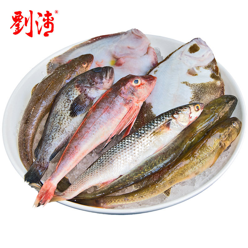 海杂鱼新鲜