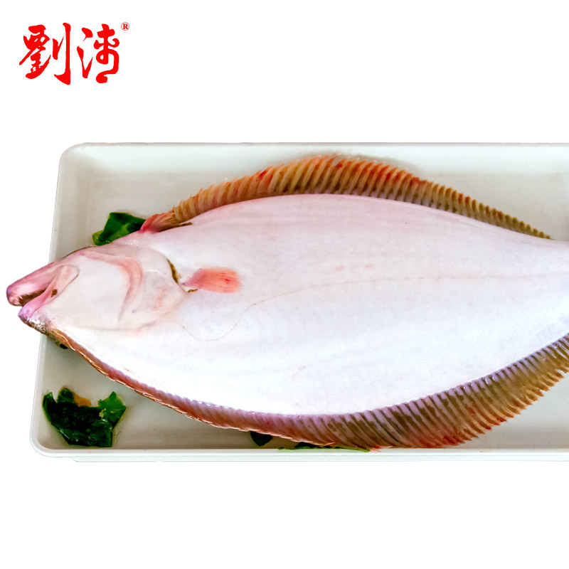 大连新鲜海鲜 水产活鱼4斤/2条 鲜活牙片鱼 阿拉斯加大比目鱼海鱼在类目 水产肉类/新鲜蔬果/熟食, 海鲜/水产品/制品, 海鲜鱼类, 比目鱼中 - 来自Buy2taobao.com提供专业的淘宝代购服务