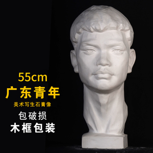 广东青年石膏像美术教具石膏头像塑素描模型素描写生家居装饰摆件