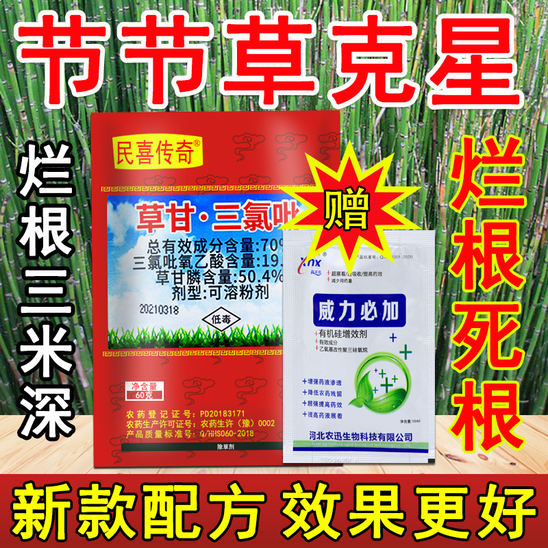 节节草专用除草药笔管草除杂草神器草甘三氯吡烂根剂一扫光除草剂