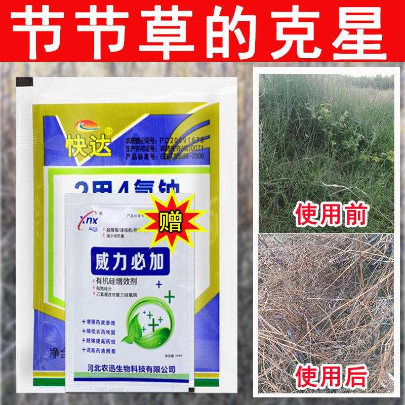 农药店杂草节节草除草剂笔管草除草烂根剂二甲四氯钠专用剂一扫光