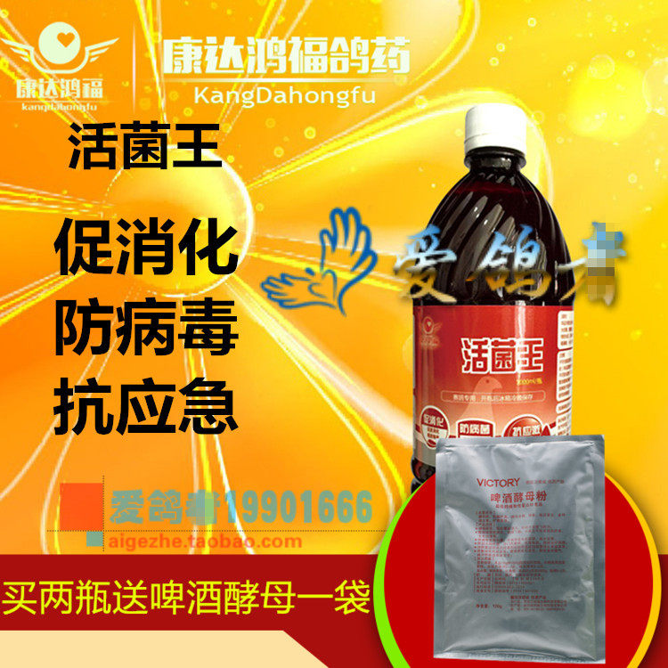 活菌鸿福大瓶1000ml鸽子赛鸽康达洪福王液医疗用品医疗用品