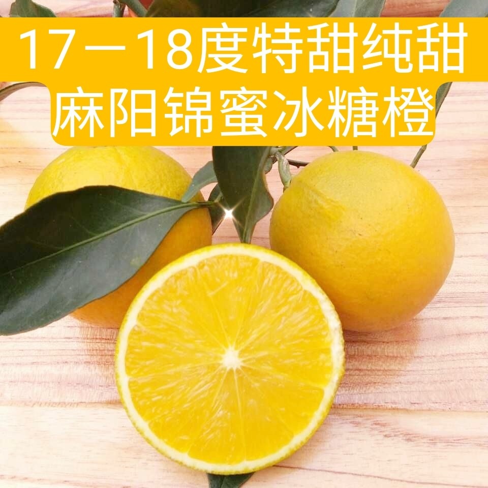 冰糖橙锦红与锦蜜图片