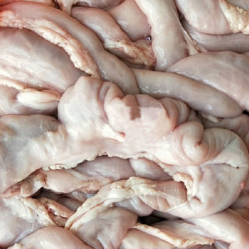 牛小肠牛肠杂类新鲜生鲜肉类火锅