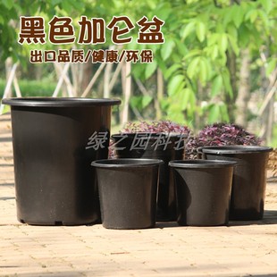 大号黑色圆形塑料花盆 高筒加仑简约桌面耐用桶盆花卉绿植无托盘