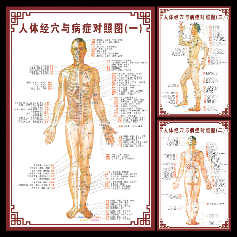 人體經穴與病症對照大挂圖 中醫艾灸穴位圖 針灸經絡全身按摩家用在類目 個性定製/設計服務/DIY, 日用/裝飾定製, 寫真/海報印製中 - 來自Buy2taobao.com提供專業的淘寶代購服務