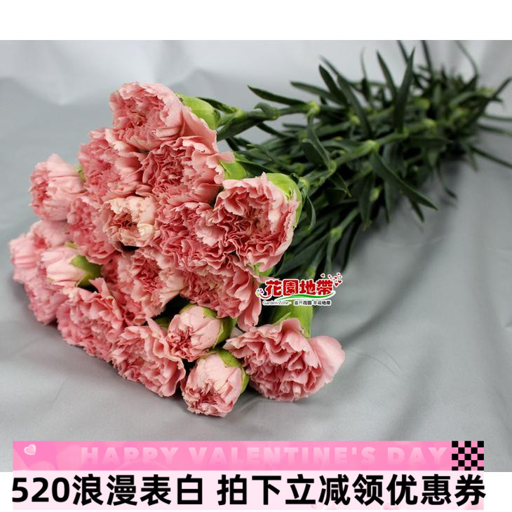 康乃馨教师节促销家庭插花母亲节妇女节鲜花长辈生日礼物同城速递