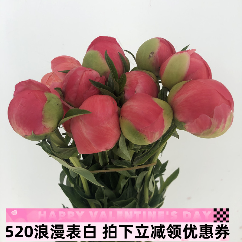 渐变色落日珊瑚网红芍药西瓜红生日礼物轻奢室内水培鲜花同城速递