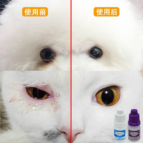 杏辉滴朗见大微素狗狗滴眼液宠物猫咪眼药水抗菌消炎去流泪痕眼屎