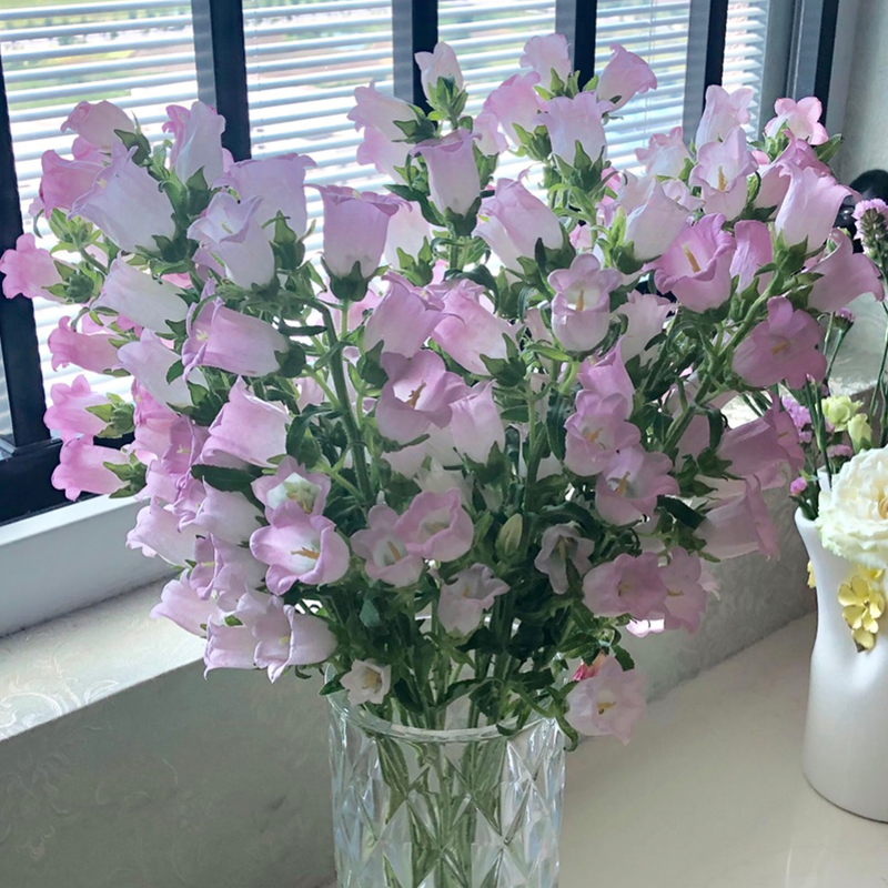 风铃草鲜花云南花卉花束真花家用基地直发水养昆明市场斗南插花