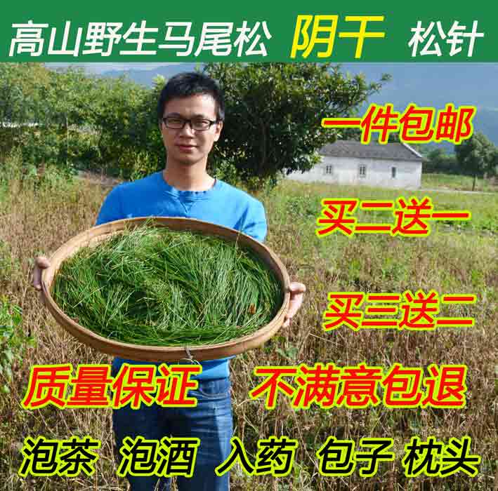Ponytail Pine needles Dry in the shade Wild pine fresh Pine needles All loose tea Paojiu Steamed stuffed bunin the Traditional nourishing food , Health tea  category - from Buy2taobao.com to provide professional Taobao agent buy service