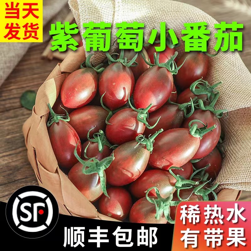 紫葡萄小番茄5斤紫弹头迷彩小西红柿