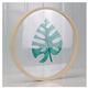 透明西西画材简约现代标本实木圆形画框 DIY装饰 支持定制包邮