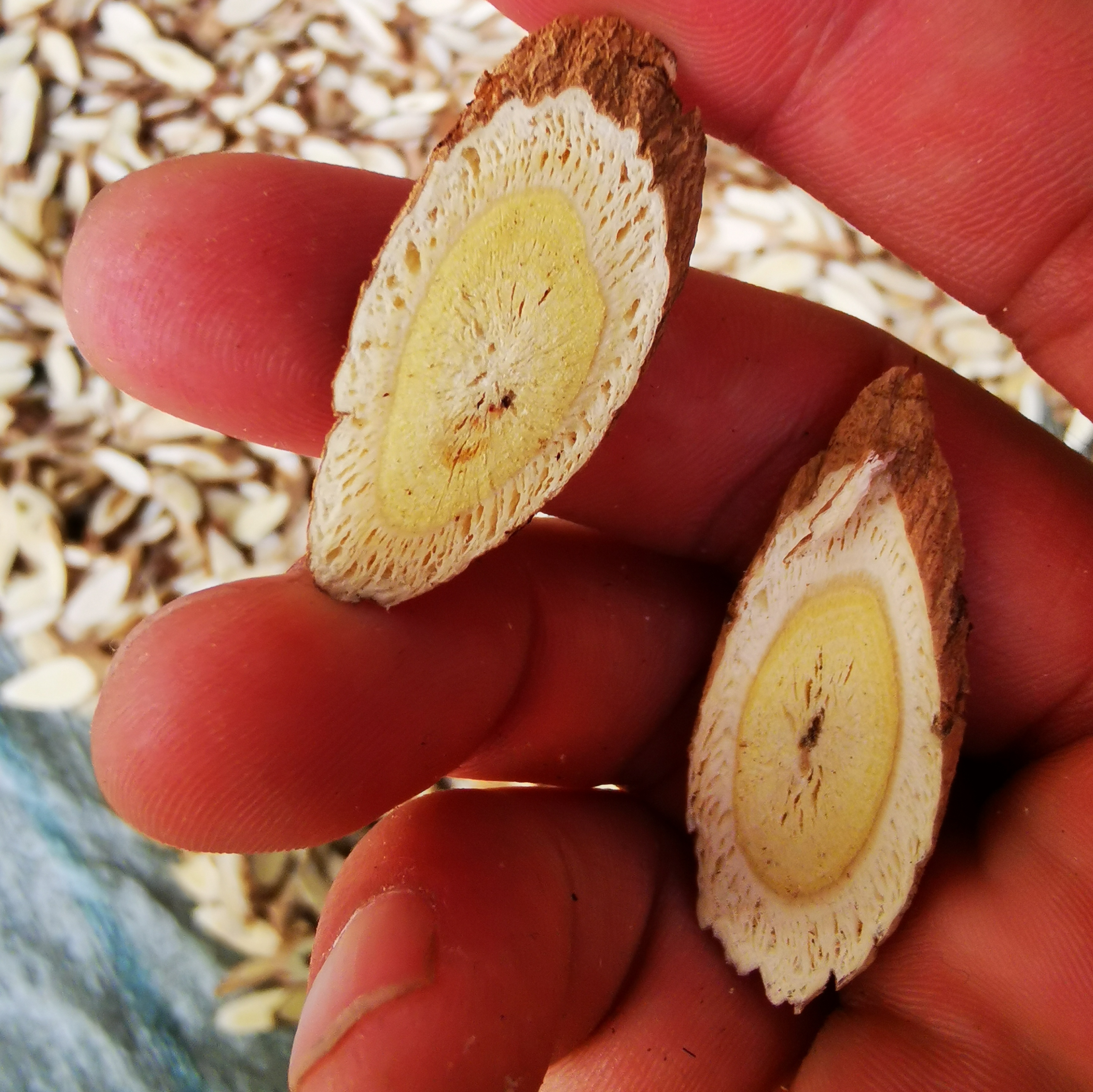 野生黄芪陕北子洲黄芪510年正北黄芪生黄芪贵族250g