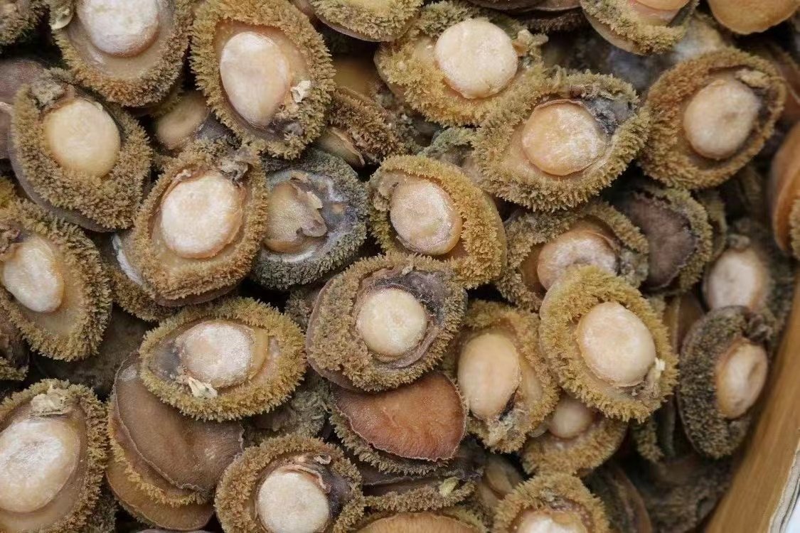 鲍鱼南非天然干约20-25头一斤干货500克鲍鱼