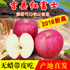 山西吉县冰糖心苹果壶口红富士新鲜水果非烟台苹果整箱8斤装|ru 山西吉县冰糖心苹果壶口红富士新鲜水果非烟台苹果整箱8斤装|ru