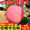 山西特产吉县红富士苹果壶口瀑布苹果10斤整箱包邮新鲜冰糖心苹果|ru 山西特产吉县红富士苹果壶口瀑布苹果10斤整箱包邮新鲜冰糖心苹果|ru