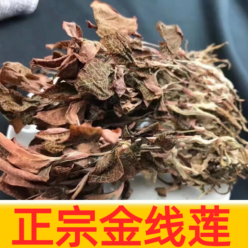 福建林下生态种植金线莲红霞养肝干品