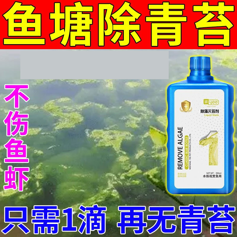 青苔清除剂青苔一次净鱼塘专用剂水面水底长青苔悬浮青苔去除神器