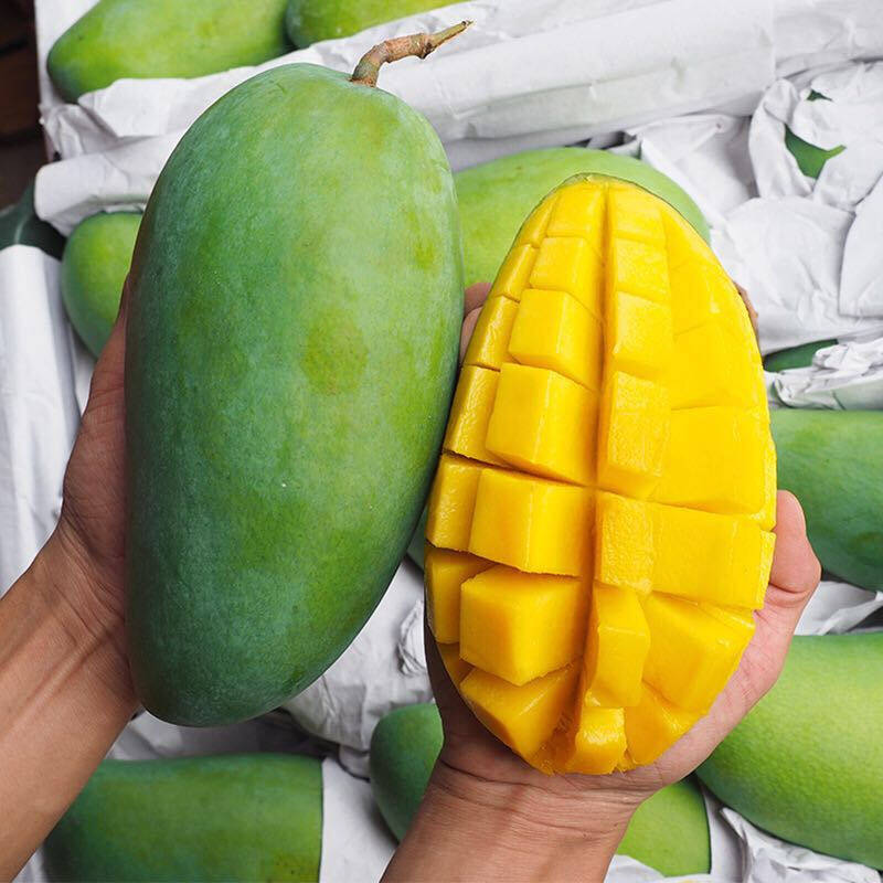 一折芒果新鲜包邮香芒_大青芒越南进口10斤芒果新鲜水果应当季一整箱