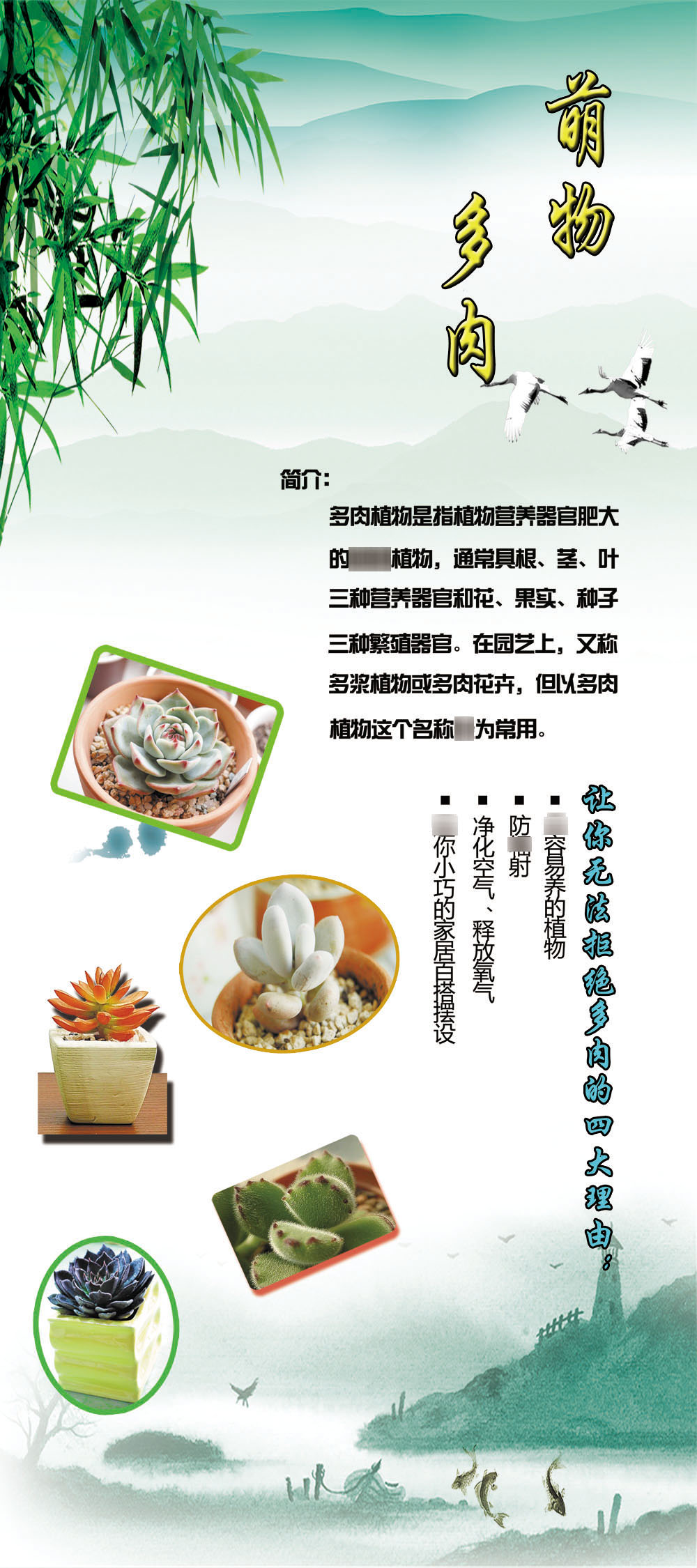 海报印制展板写真喷绘1314花店多肉植物简介写真