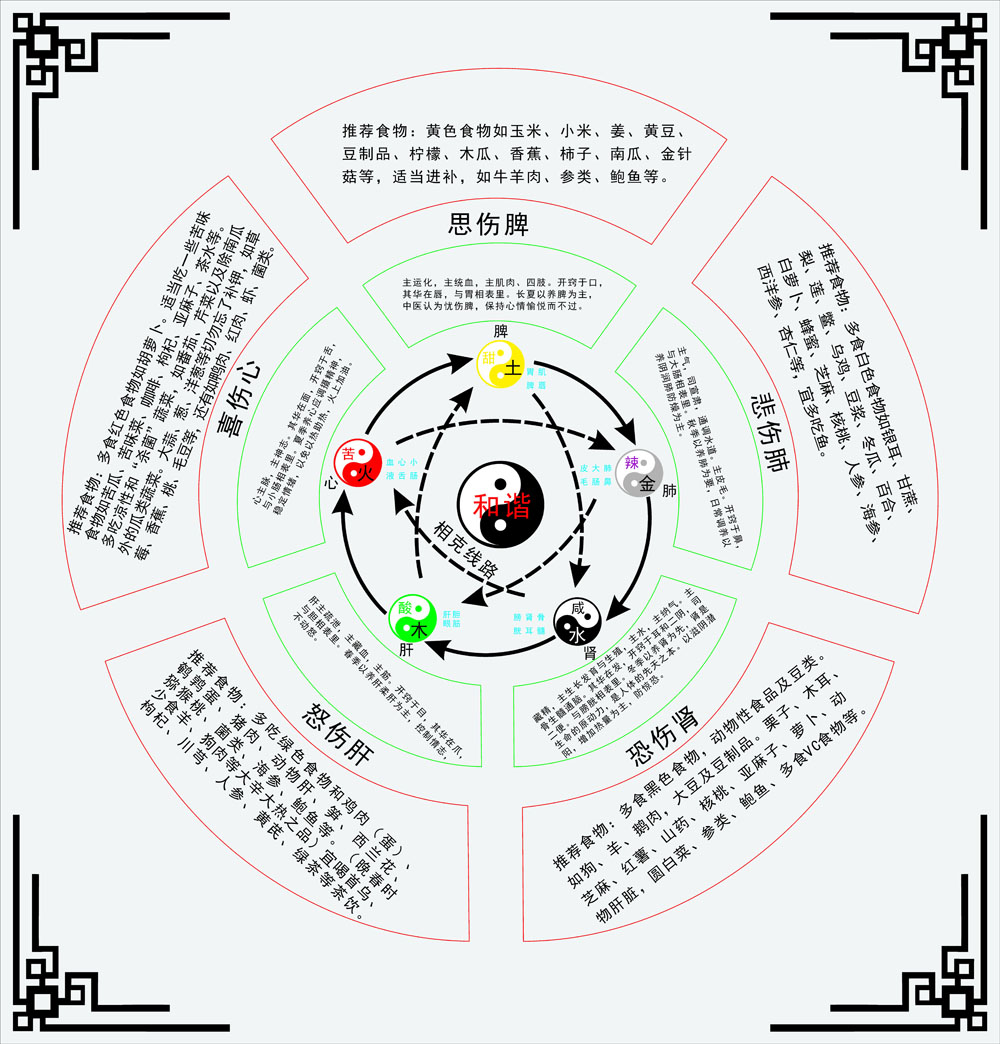 五脏五行五色五味表图片