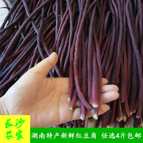 长沙农家 湖南特产新鲜蔬菜农家自种秋豆角嫩红豆角缸豆500g