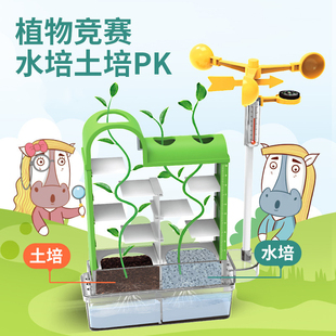 儿童种植土培箱子创意植物学生观察生长花卉盆栽幼儿园日记观察箱