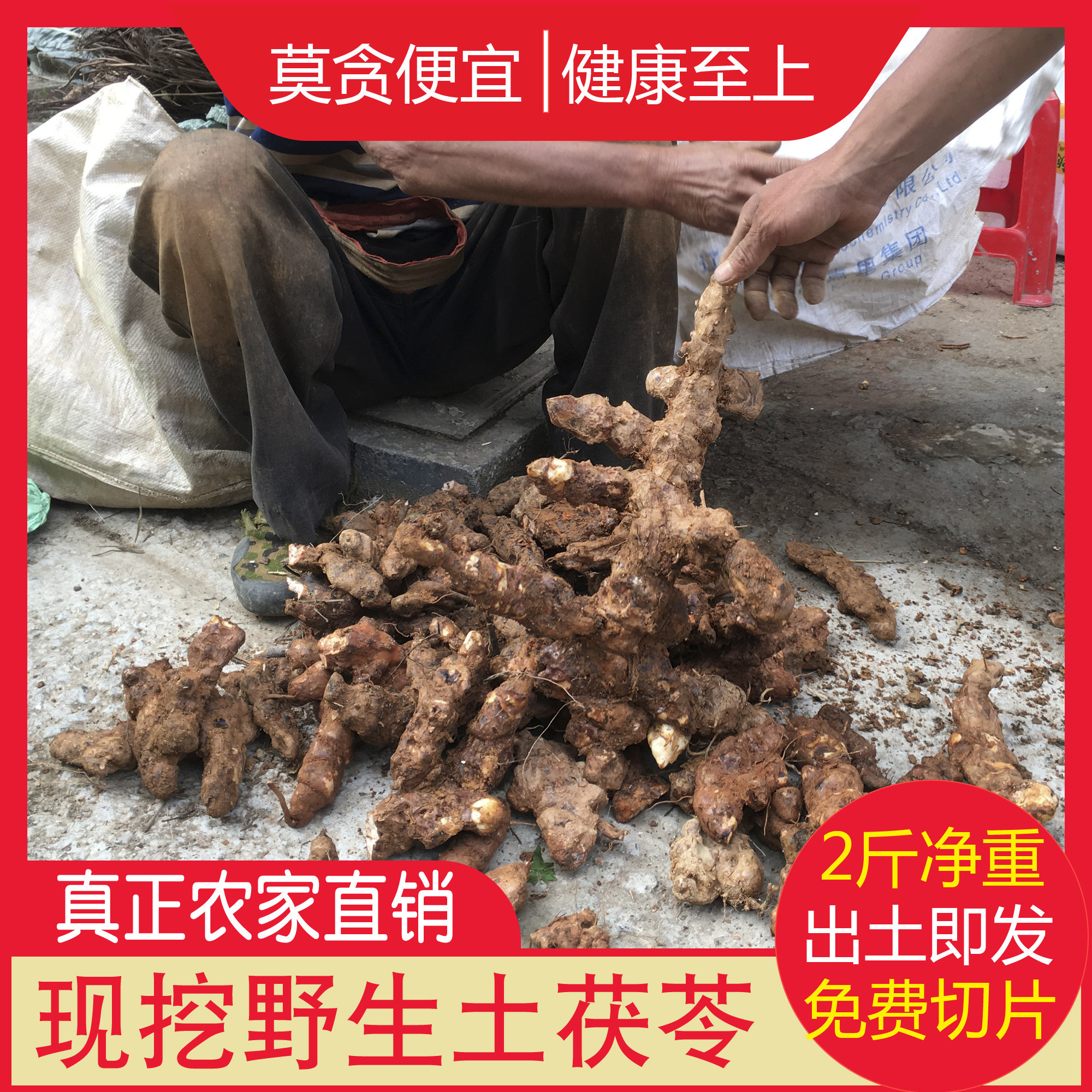 野生土茯苓1000g现挖新鲜硬饭头红土茯苓清湿煲汤泡酒药材可切片