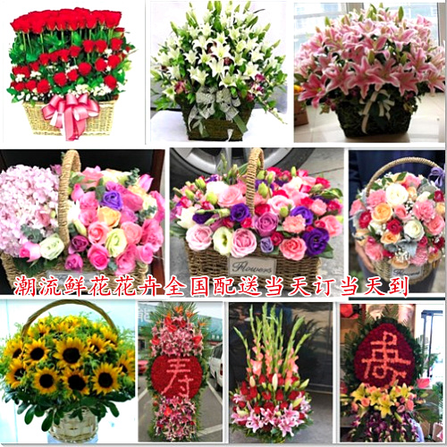 > 祝寿花篮