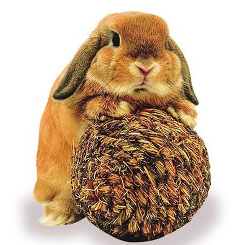 响铃藤球铃铛草球龙猫兔子豚鼠荷兰猪磨牙玩具在类目 宠物/宠物食品及用品, 兔类及其用品, 玩具中 - 来自Buy2taobao.com提供专业的淘宝代购服务