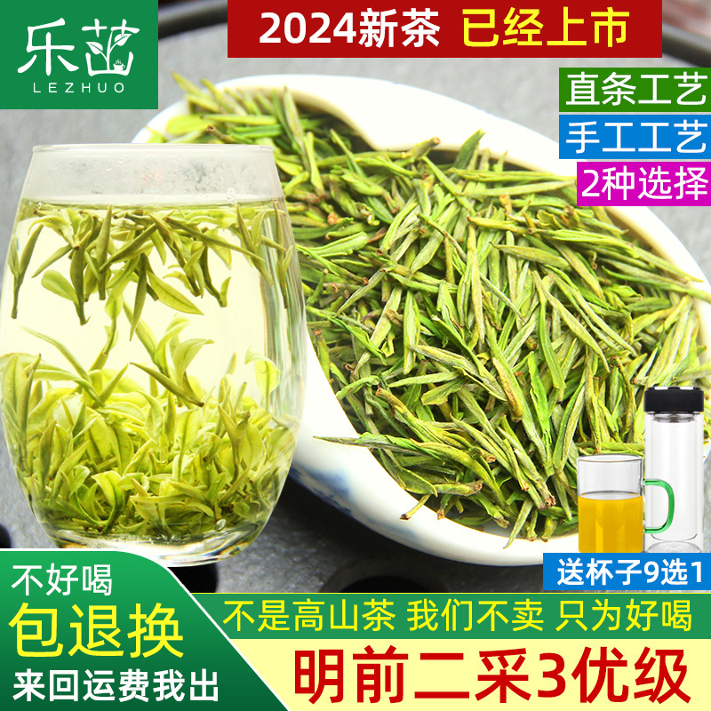 2024年新茶-乐茁安吉白茶3优-