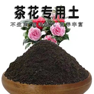 茶花专用土茶花营养土盆栽透气配方种植土壤通用种花养花有机土壤