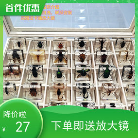 新款绒面亚克力镜面透明昆虫盒 树脂标本展示盒饰品收纳盒包邮