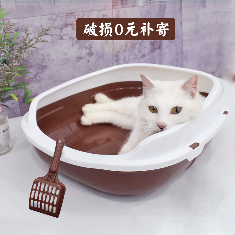 网友分享在meiguo.com上的图片