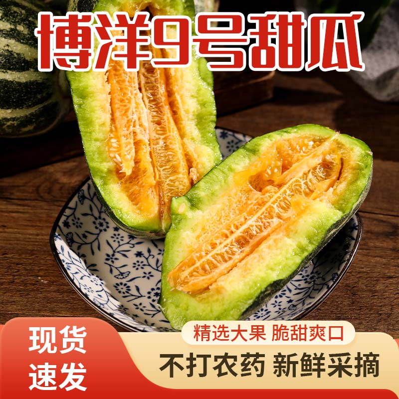 山东博洋9号头茬甜瓜当季新鲜水果5