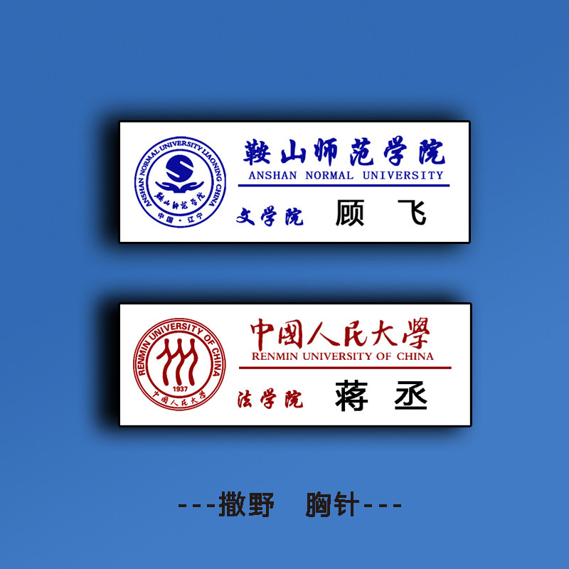 撒野徽章胸针某某校牌伪装学渣原耽小说名扎全球高考天官赐福awm