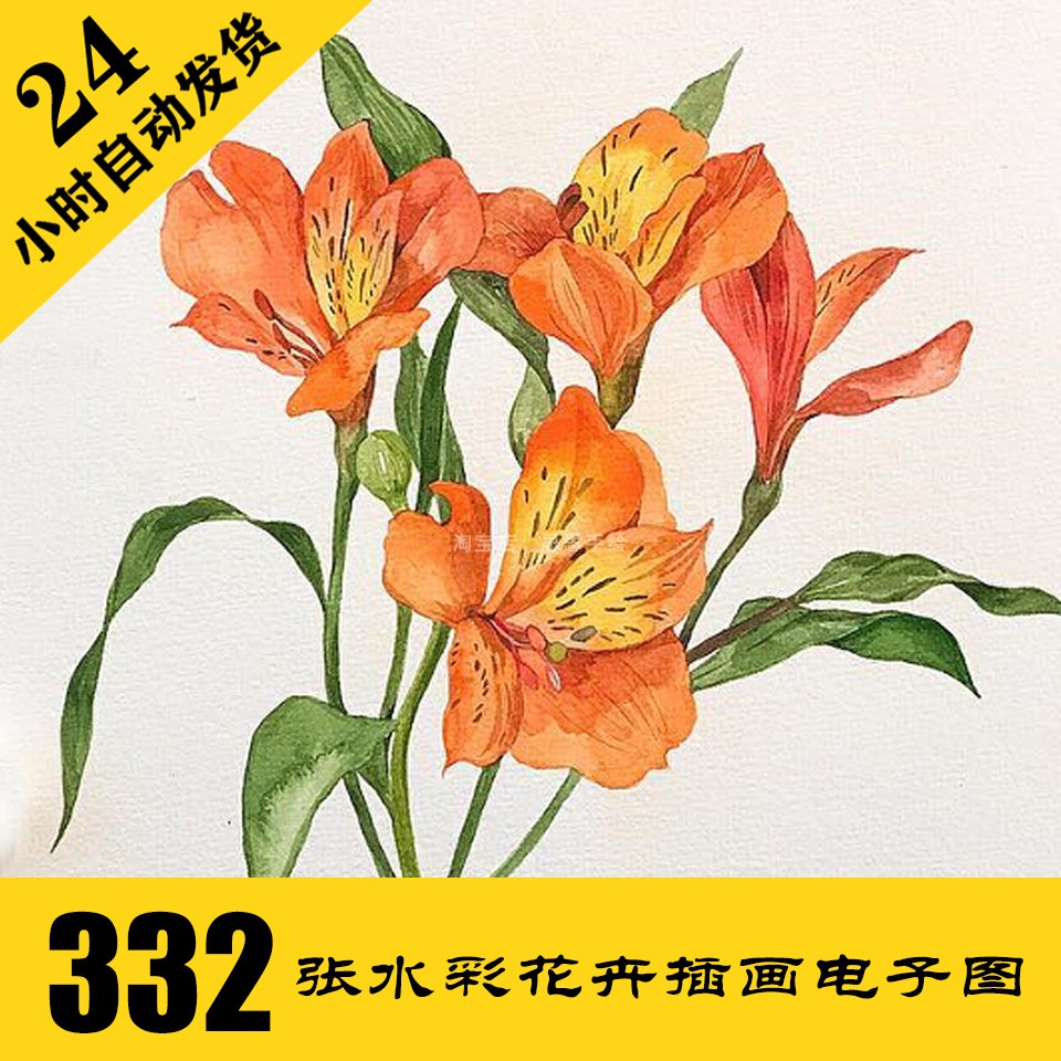 C217 水彩花卉插画电子图332张 手绘植物手绘素材 持续更新